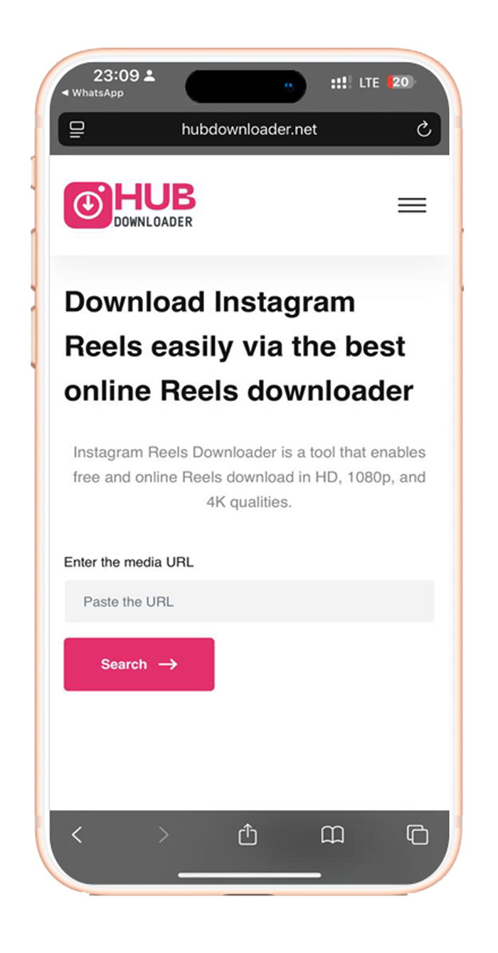 Download Instagram Reels 