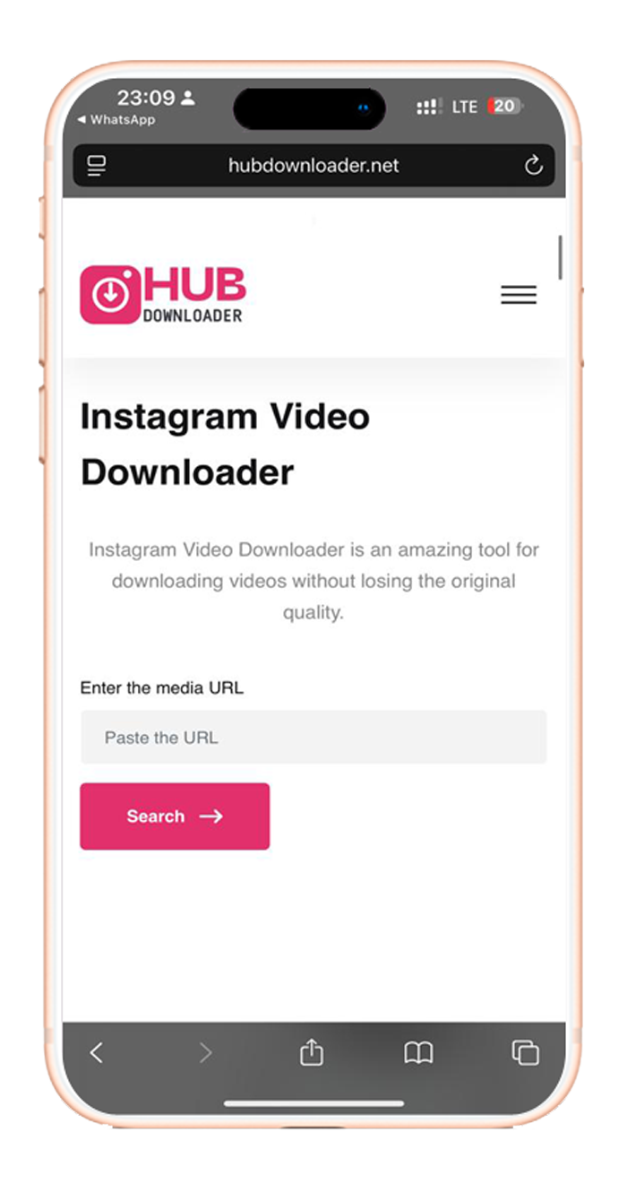 Instagram Video Downloader